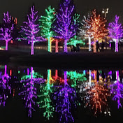 Profile Picture of Alex Mancia (@alexmancia9448) on Youtube