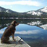 Profile Picture of Brian Friedrich (@bfreedy) on Instagram