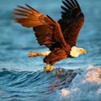 Profile Picture of Jason Redfern (@jason-redfern-2) on Quora