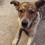 Profile Picture of Earl French (@earlfrench47) on Instagram