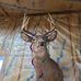 Profile Picture of Joseph Schwindt (@joseph.schwindt.5815) on Facebook