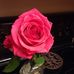 Profile Picture of Kitty Chapman (@Kitty-Chapman) on Facebook