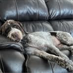 Baron Seidel - Facebook Profile Picture of Baron Seidel (@baron.seidel.31) on Facebook