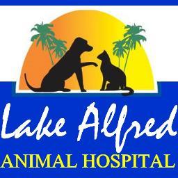 Profile Picture of Dr. Mary McDaniel (@LakeAlfredVet) on Twitter