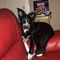 Profile Picture of Debbie Falconer (@debbie.falconer.35) on Facebook
