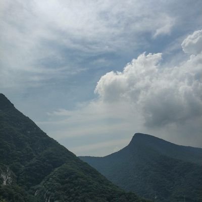 Profile Picture of Ming Zhao (@mingzhao16) on Twitter
