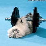 Profile Picture of Miranda Griffith (@mi.randa3689) on Instagram