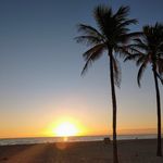 Chris Soehrmann - Instagram Profile Picture of Chris Soehrmann (@chris_soehrmann) on Instagram