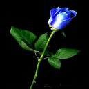 Profile Picture of Alfonso Griffith (@alfonso.griffith) on Facebook