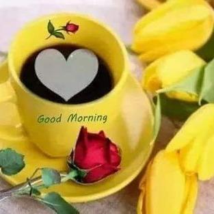 Profile Picture of Rekha Mohan (@RekhaMohan9) on Twitter