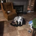 Profile Picture of Matthew Medlock (@Matthew-Medlock) on Facebook