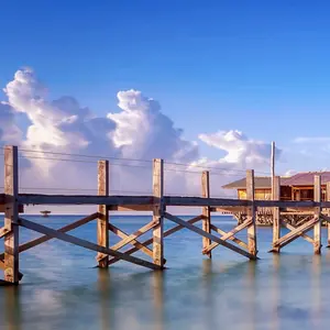 Profile Picture of user4696709800184 (@ayshehmahmood) on Tiktok