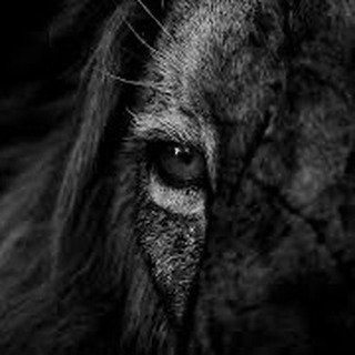 Profile Picture of Jason Coss (@straumann_group_canada) on Instagram