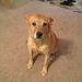 Profile Picture of DarrelTiffany Overcash (@darreltiffany) on Pinterest