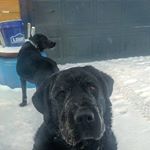 Profile Picture of Wade Warren (@ww_warren) on Instagram