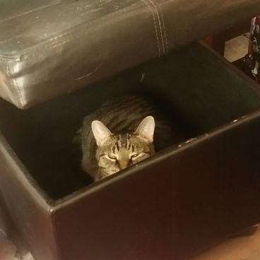 Profile Picture of Yvonne Schultz (@schultz_yve) on Twitter