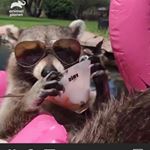 Profile Picture of Howard Harrison jr (@howard_harrison_jr) on Instagram