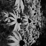 Profile Picture of Manon (@manon_.martin) on Instagram