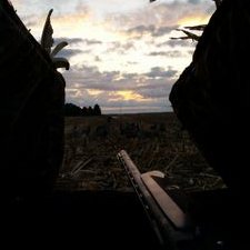 Anthony Mooney - Twitter Profile Picture of Anthony Mooney (@Chas_Mooney) on Twitter