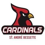 Profile Picture of St. Andre Bessette Fine Arts (@sabfinearts) on Instagram