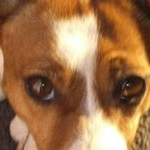 Profile Picture of Ken Tait (@tait.ken) on Instagram