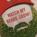 Profile Picture of Jayson Werth Chia Pet (@wapowerthchia) on Instagram