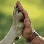 Profile Picture of Scott Caraway (@scottcaraway601) on Instagram