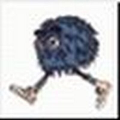 Profile Picture of Madeline Callahan (@MyVelcroShoes) on Twitter