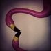 Profile Picture of Freddy Feathers (@freddy.feathers.52) on Facebook