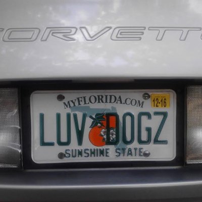 Profile Picture of Brian L. Sergeant (@K9LOVEFLORIDA) on Twitter