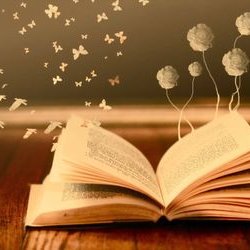 Profile Picture of Stephanie Nelson (@learn4literacy) on Twitter