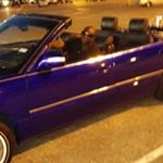 Profile Picture of William Sims (@miia_sims) on Instagram