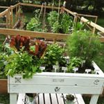 Profile Picture of Chris Crooks (@3_peas_in_a_garden) on Instagram