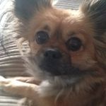 Profile Picture of Shannon Cleary Tyler (@shannon_spamzz_xox) on Instagram