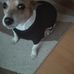 Profile Picture of Suse Schabram (@suse.schabram) on Facebook
