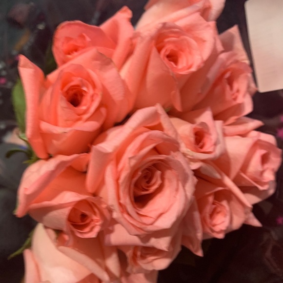 Profile Picture of Ayesha Haq (@chaq0327) on Poshmark