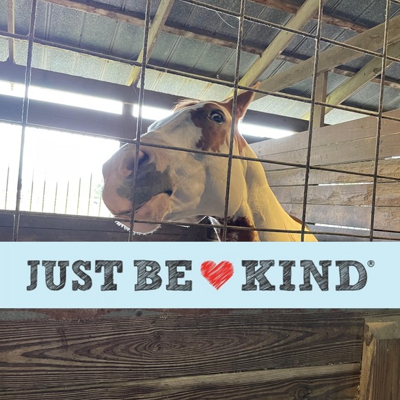 Profile Picture of Cathy Bennett (@cbennett2005) on Poshmark