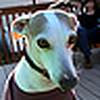 Profile Picture of Nic Foster (@TheNeek) on Flickr