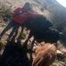 Profile Picture of Virgilio Jimenez (@virgilio.jimenez.161214) on Facebook