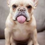 Profile Picture of #RastaChef (@cristian.leon.fotografia) on Instagram