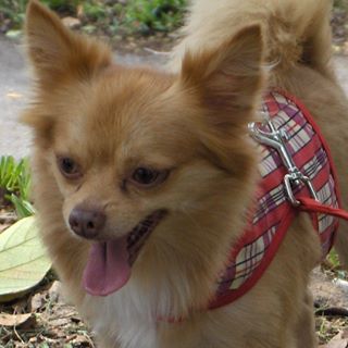 Richard Liebold - Facebook Profile Picture of Richard Liebold (@richard.liebold.3) on Facebook