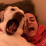 Ally Amaral - Instagram Profile Picture of Ally Amaral (@a.amaral01) on Instagram