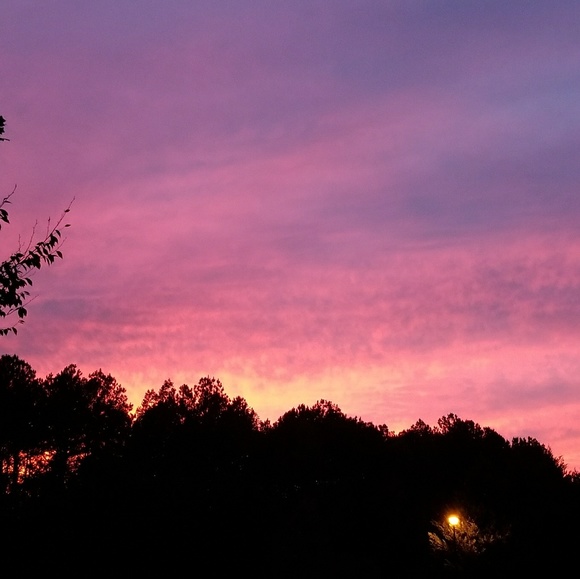 Ashley Lipson - Poshmark Profile Picture of Ashley Lipson (@ashleyml85) on Poshmark