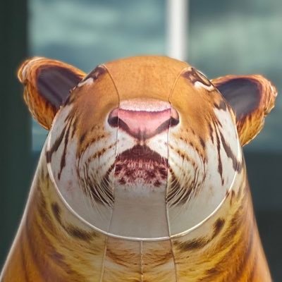 Profile Picture of Jason Carlin (@escapist) on Twitter