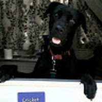 Profile Picture of John Caddis (@john-caddis-3) on Quora