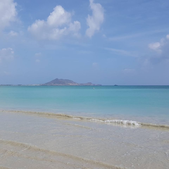 Profile Picture of Jeeyoung Kim (@gamja503) on Poshmark