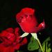 Profile Picture of Arwinder Gill (@azizmehna) on Pinterest