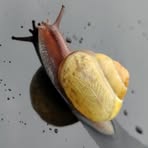 Profile Picture of Joel Cropper (@joelcropper52) on Facebook