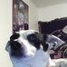 Profile Picture of Spencer Pullen (@spencer.pullen.9) on Facebook