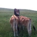 Profile Picture of Cody Mulcahy (@scone_bag) on Instagram